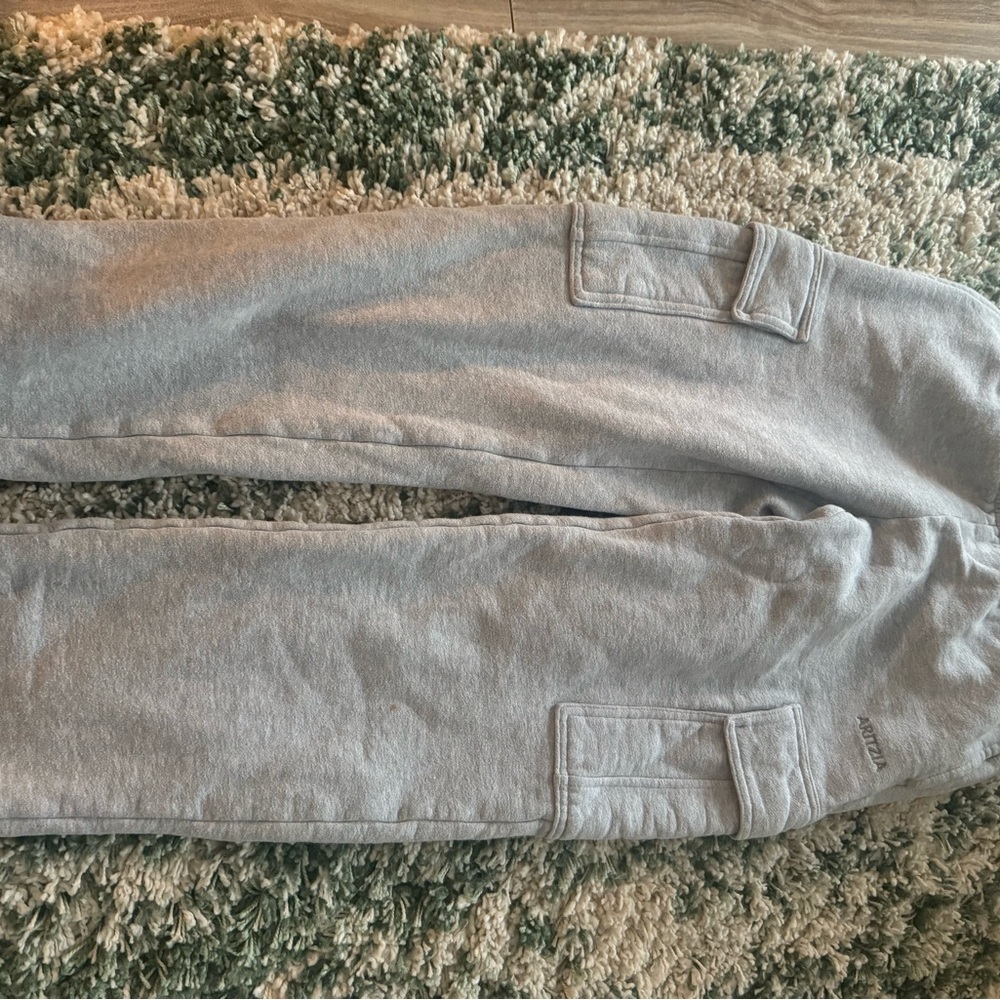 Aritzia Gray Cargo Sweatpants